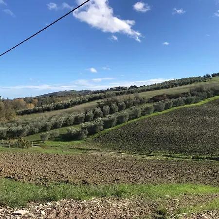Alvearedirita Alojamento de Acomodação e Pequeno-almoço 3*