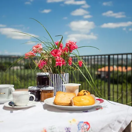 Alvearedirita Frühstückspension